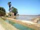 DSC00412.JPG