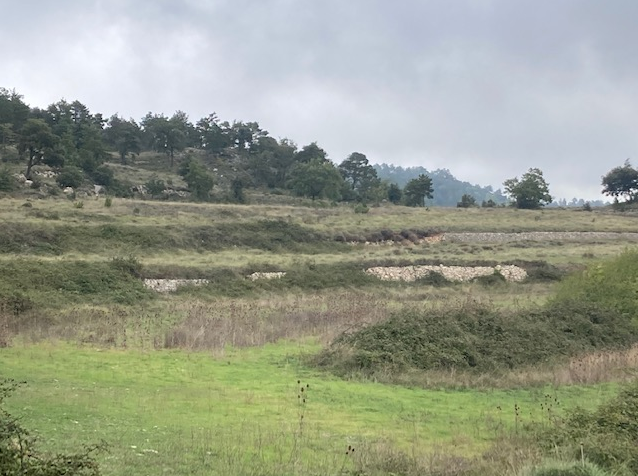 FINCAS EN VENTA EN VILAPLANA Y LA MUSSARA